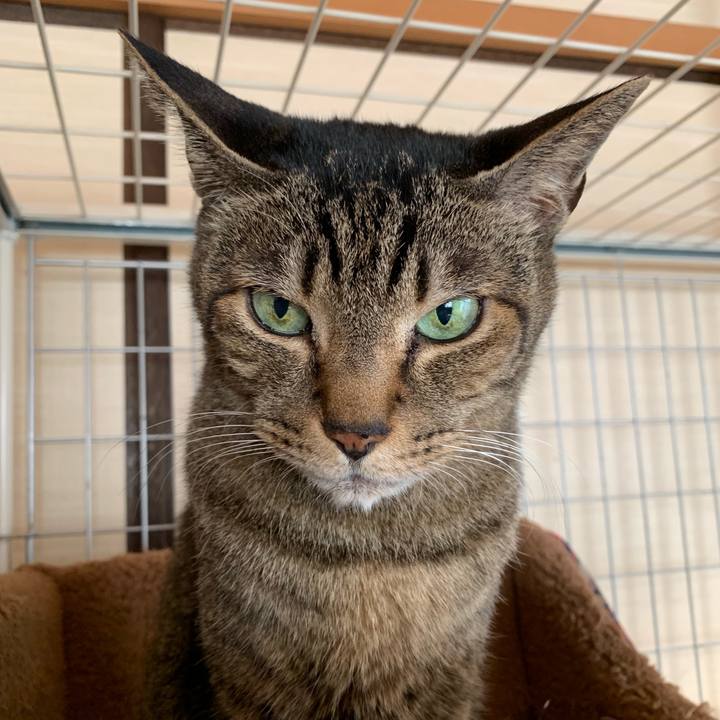 41b52377 f053 4971 afbc 58f5f46b16db 1550192883792