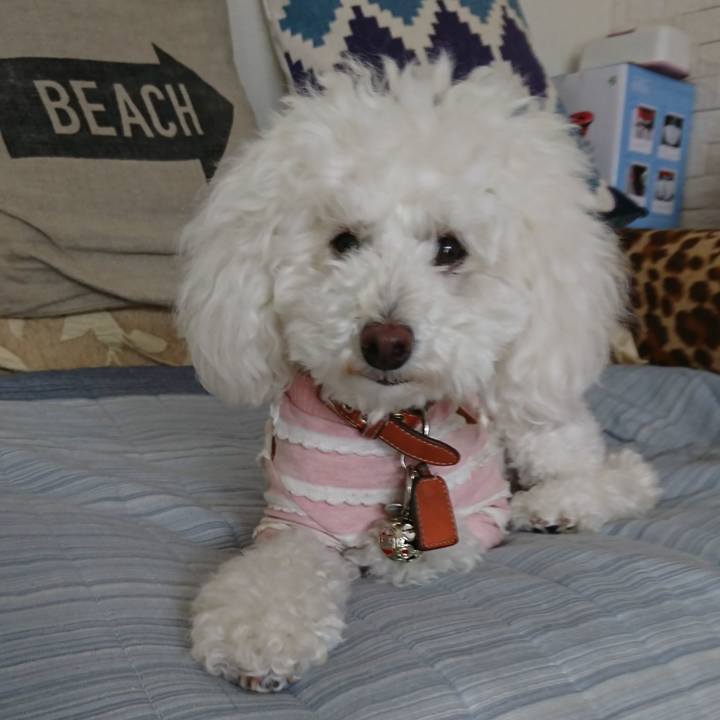 41b53c04 9397 41a6 b29f 76b8bb67dbac 1526176619713