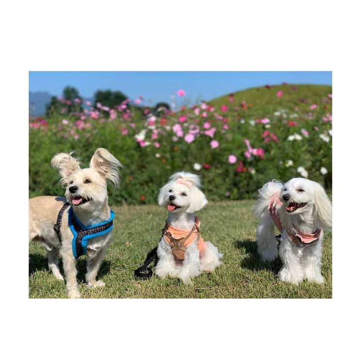 41b585f7 495b 43da a0a8 ec832dde93d0 1570756446636