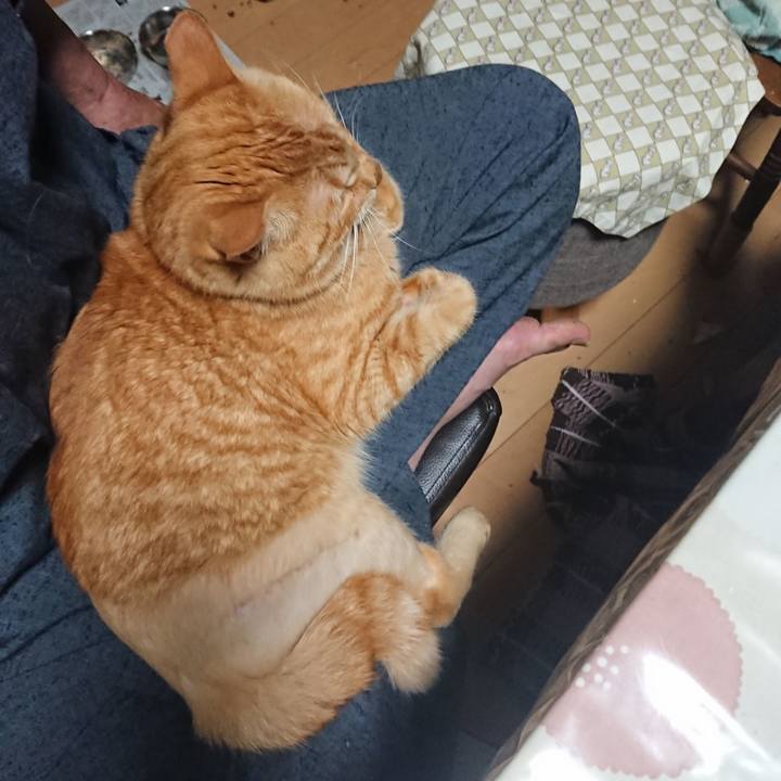 41b5ae55 f8ca 4598 a287 cdf8be37b882 1656303989250