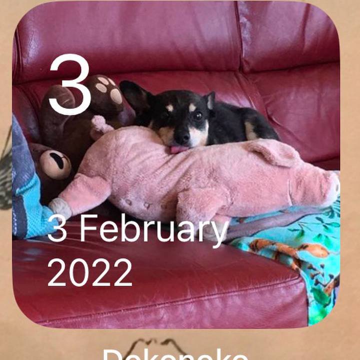 41b5cbb8 e1fc 4557 ab0d e6382c2f0bef 1770112460578