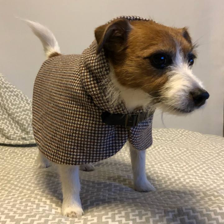 41b5ef77 4fd2 4d66 ac88 83affd4ab06f 1612785809798