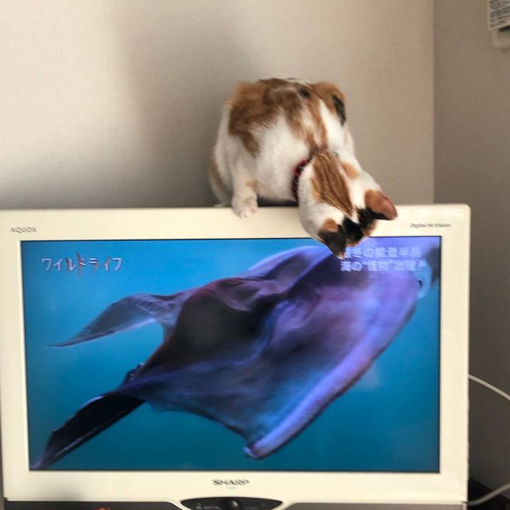 41b5f9d3 15ee 4c56 917f 1a22b6043c61 1583070760497