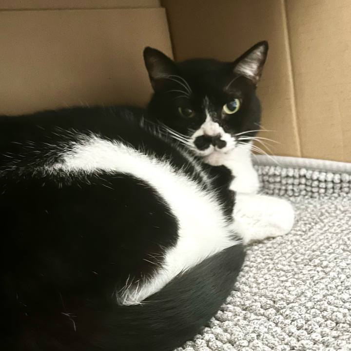 41b606ae 93e6 4fa1 8665 b38e603d74b2 1715292226280