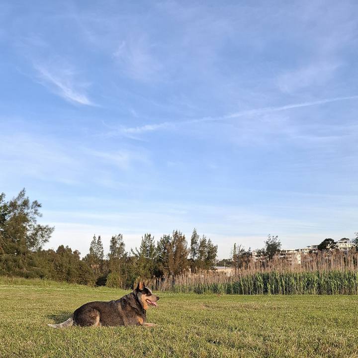 41b61e8f 9d6d 4165 abff e63962b8dba4 1759656968544