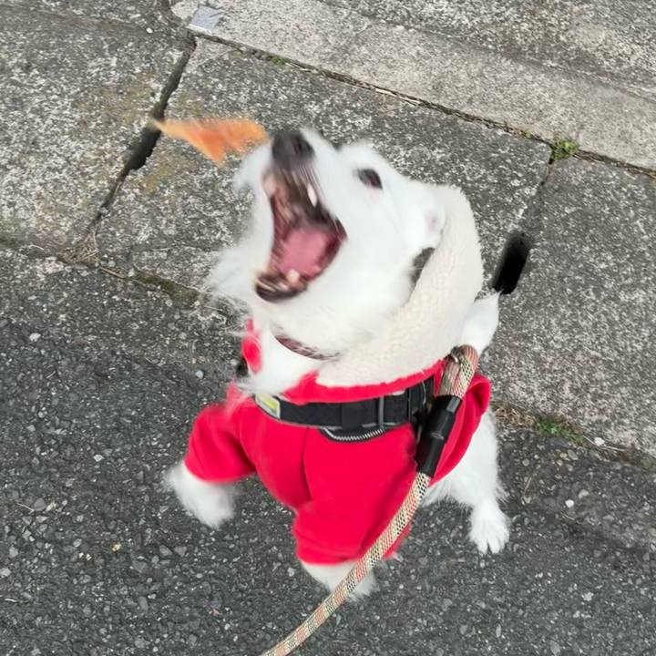 41b661c6 a563 4438 910e 86a8bac1a7c2 1765410576181