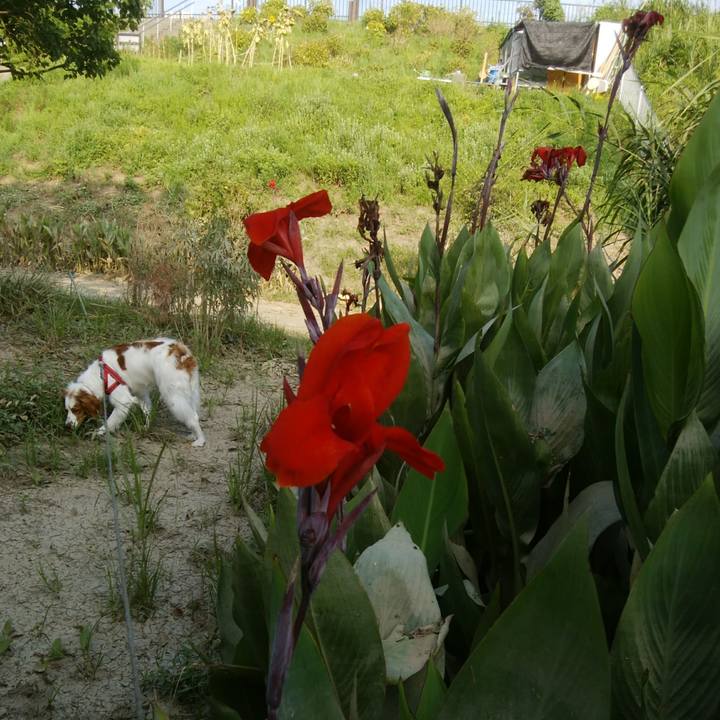 41b669cb 4d24 4456 8c4c afe18c379f4d 1533624731597