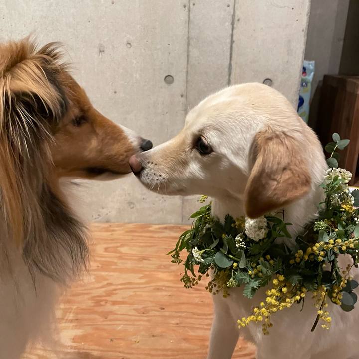 41b67be9 1b04 4cd5 a35b 61b2c1700881 1678800365373