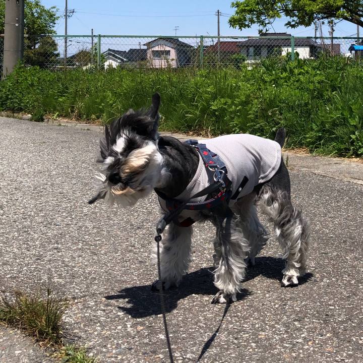 41b69fdb b4ed 4c65 b7be 6505b1a3bb63 1651892296416