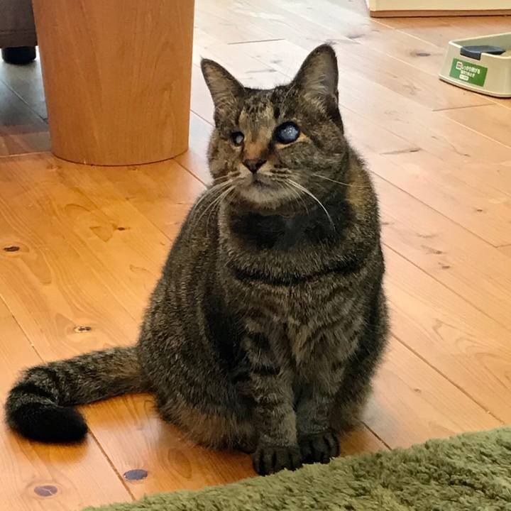 41b6b908 9290 46c5 bb73 5953c17070ad 1608266821228