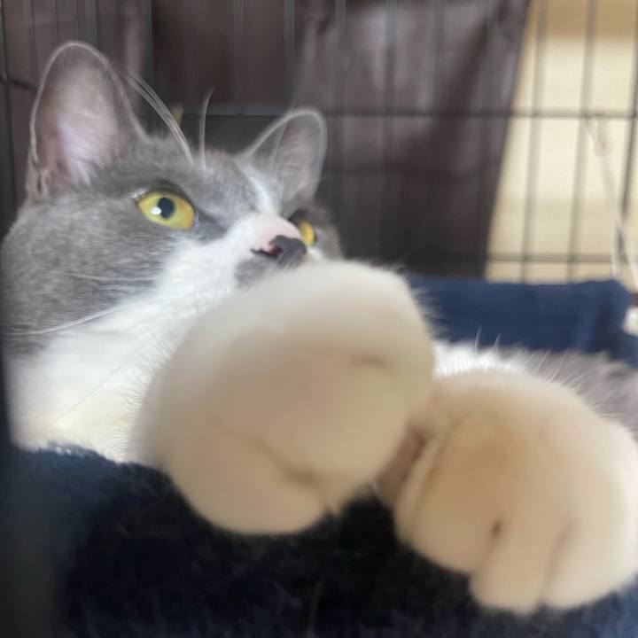 41b6e492 80a7 46d9 bd58 40816c2a5fc9 1680785617046