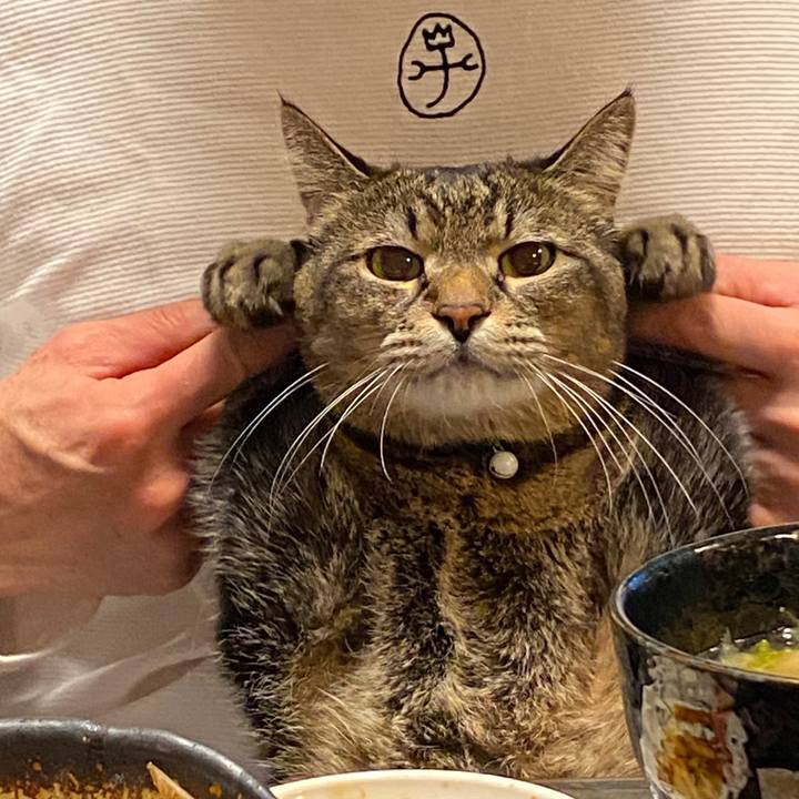 41b70867 a2e7 4a8b 82f6 e1f4a2fad386 1609543847049