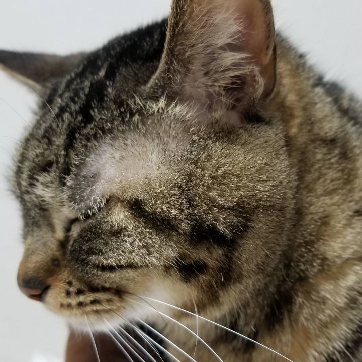 41b709e7 b3c0 468d a6ac 9bbbfcad7f3f 1554859095713