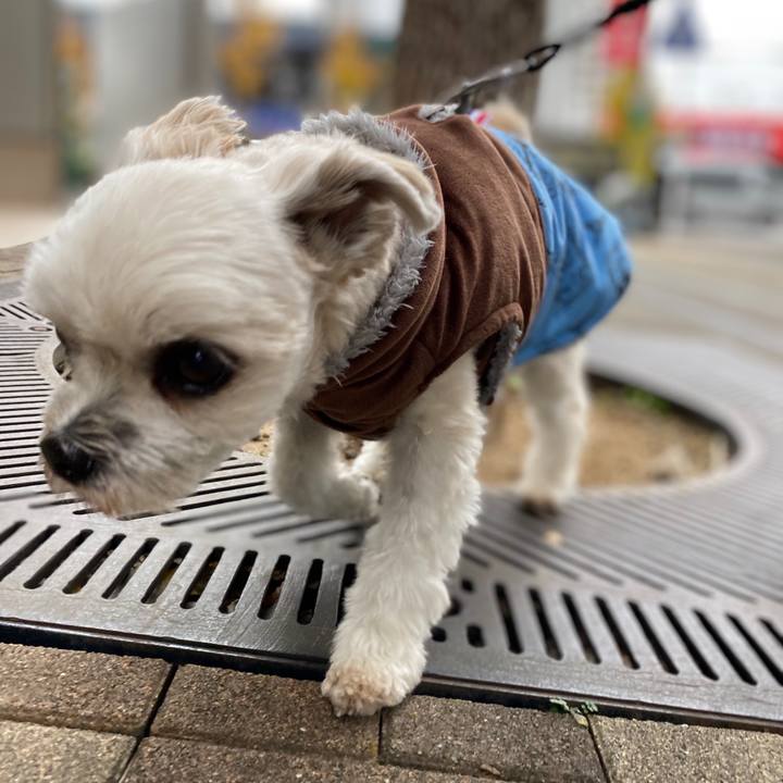 41b70ef4 7481 4229 b1c7 bbcc84d79847 1576727927828