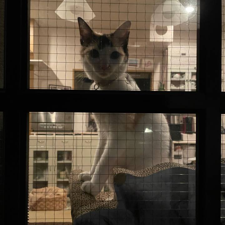 41b73e3e 4b1e 4eb7 9248 9fa8e9e8c549 1675607767971