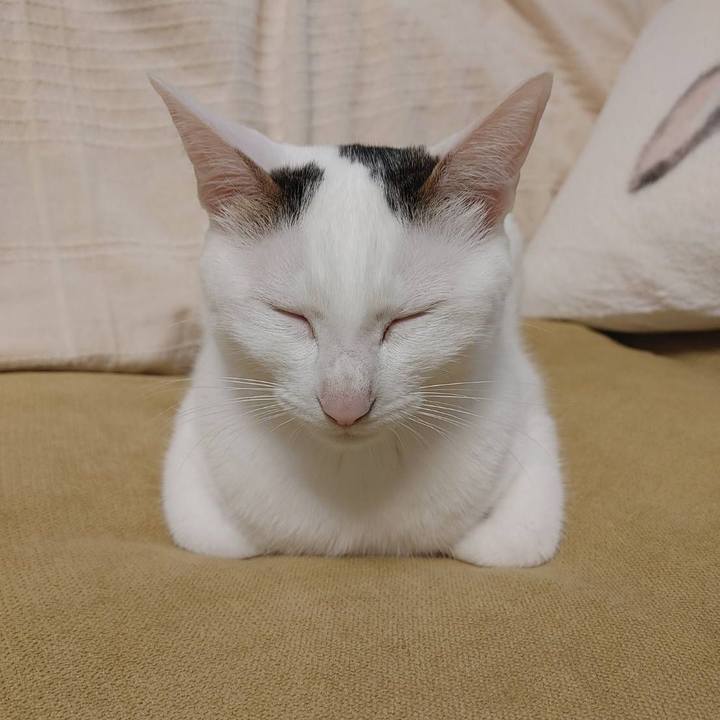 41b75566 6e0a 411f b023 78dfc2e50080 1694152397517