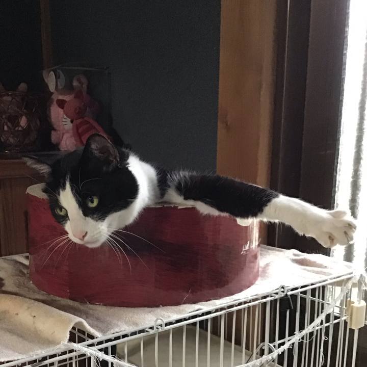 41b76b0d d5c3 4ee6 b5d8 55bdb9a677c1 1747986312783