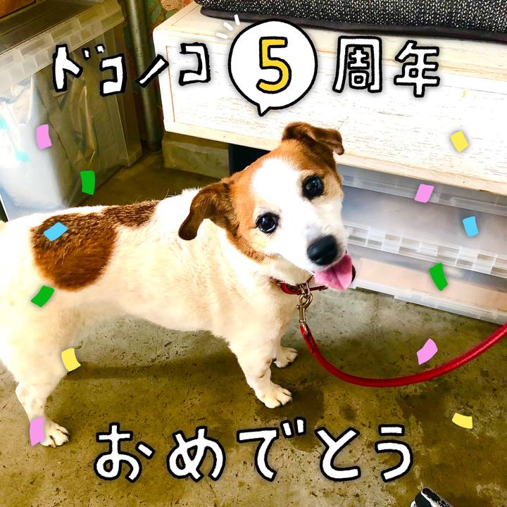 41b76c03 0745 4ded 809d c6e60855d199 1622870581751