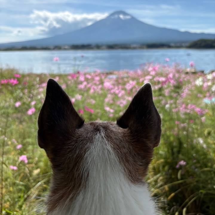 41b77a1a 2a92 4676 9e05 ffb17eddc615 1759535599785