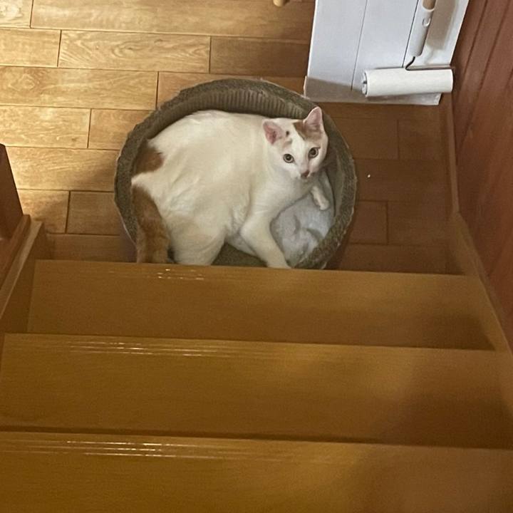 41b7bfa7 8b14 40b9 883b 2da89ef7a8fe 1643888893441