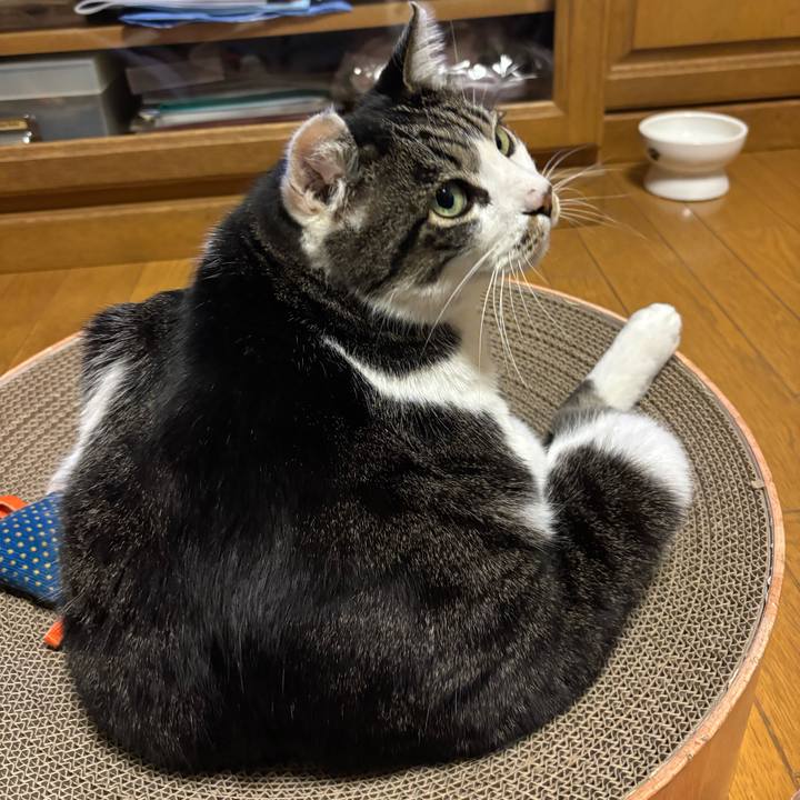 41b7c0d8 e629 4812 805a 75543683c135 1764139211387