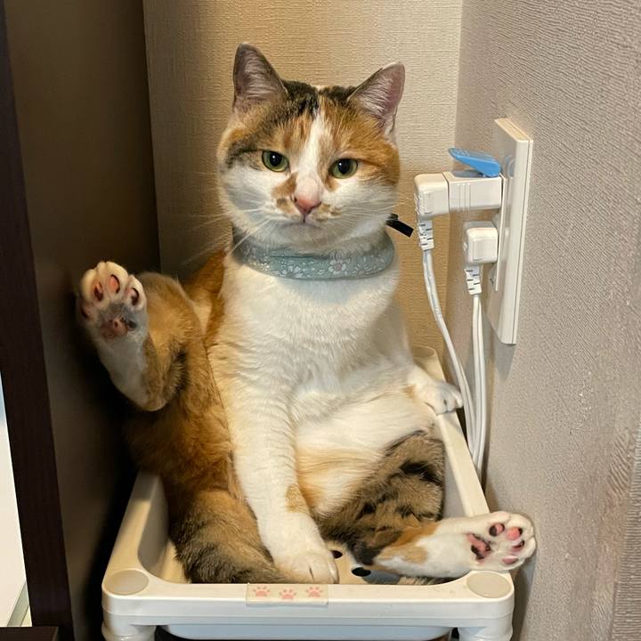 41b8178e 4701 4fbd 8e29 567f474eb292 1673534564400