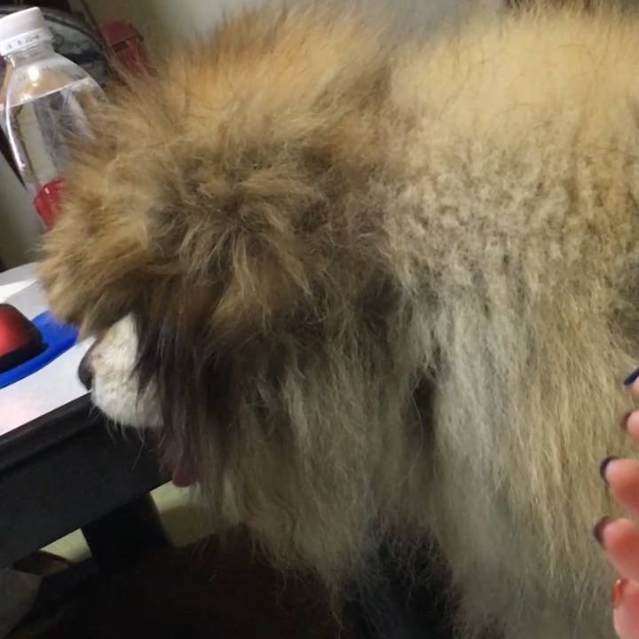 41b8296c 166e 438b 90f0 2e741d839e95 1599364755981