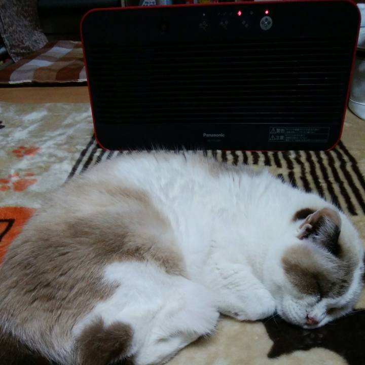 41b837af bdb8 4981 bde0 f54eb631c788 1510658740584