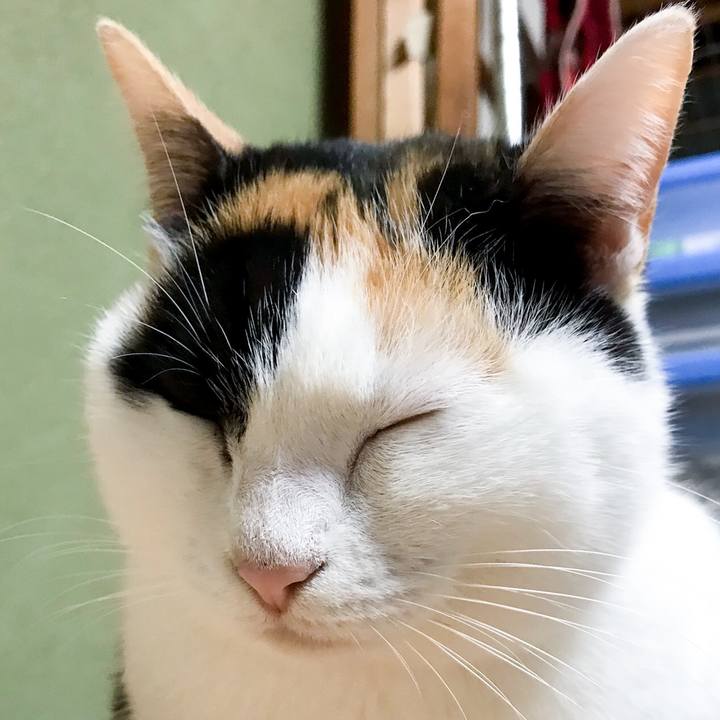 41b84713 42ed 4afb 99dc 94b0969eb71c 1519397218202