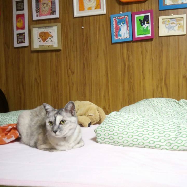 41b85207 f5c8 41be 92f5 6e5602fbc213 1536493951811