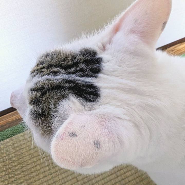 41b8a72f c2cb 4079 b95f 3769bbec8708 1687255999804