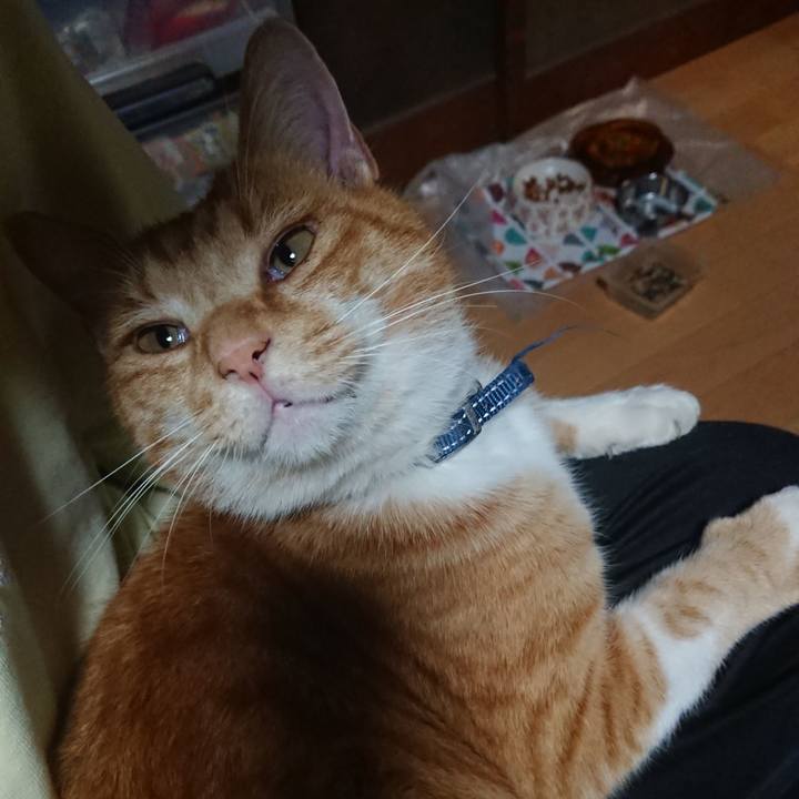 41b8bdde efd0 46bb 9e77 7d865d633eb5 1603187903846