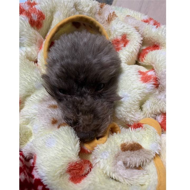 41b8ef06 140c 429d a09f 4de48f90508f 1572991079977