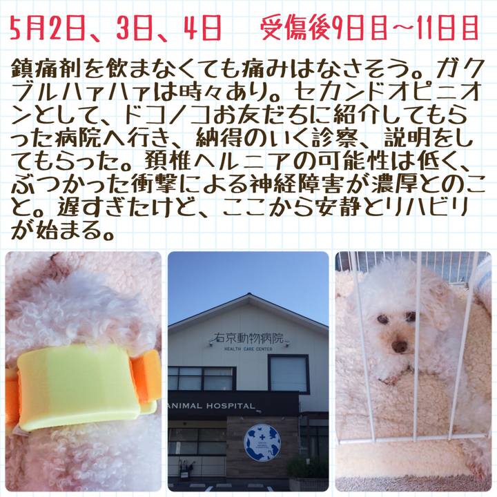 41b8fd01 e530 4dde 800e d7c9f67e76af 1527133328489