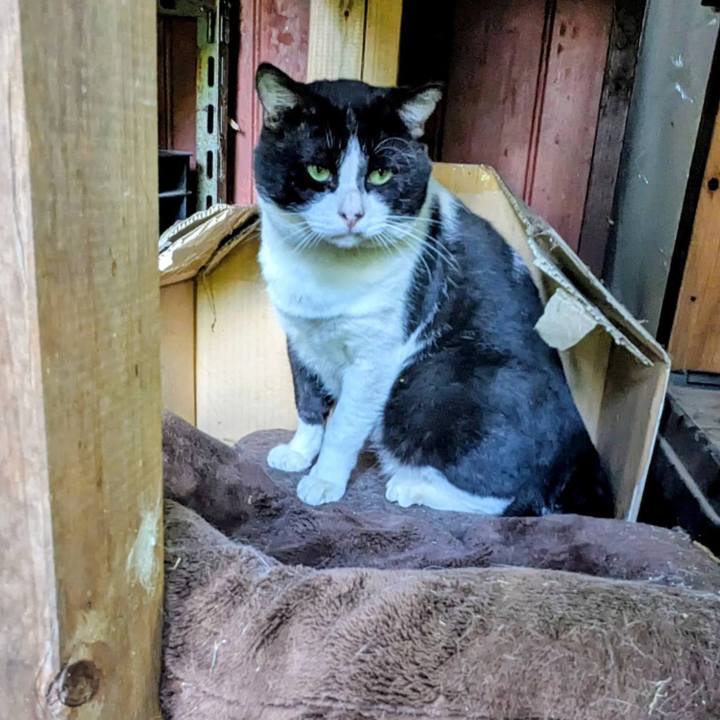 41b925ed 7fbc 49a8 b987 1a189b3409f6 1761864582500