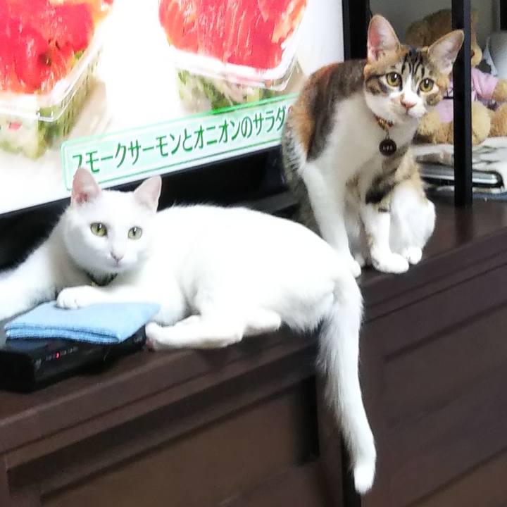 41b92bab 15ba 4178 8e28 87baa33edcf2 1640909344322