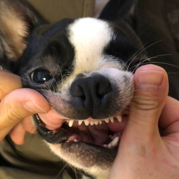 41b959f5 a465 42f1 b620 8318fd533716 1516367715708