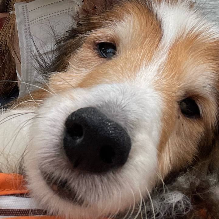 41b95b75 8970 4d63 a4e9 37530dc62a74 1655118490930