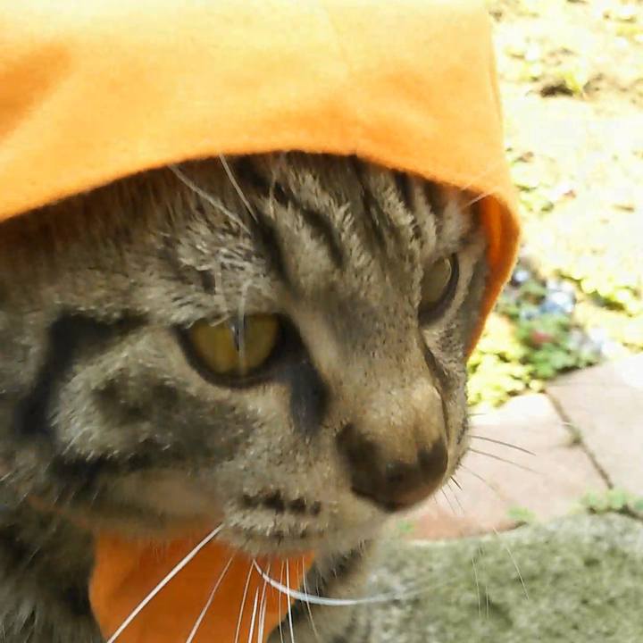 41b98a7a 4672 4c99 9d67 826cadbf09a6 1556243119900