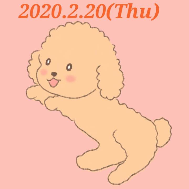 41b9a8b3 71d4 4beb ba83 c1ef54d5e026 1582206126851