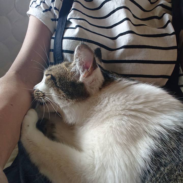 41ba9479 3498 4b2b b553 191930d6afd4 1598161104260