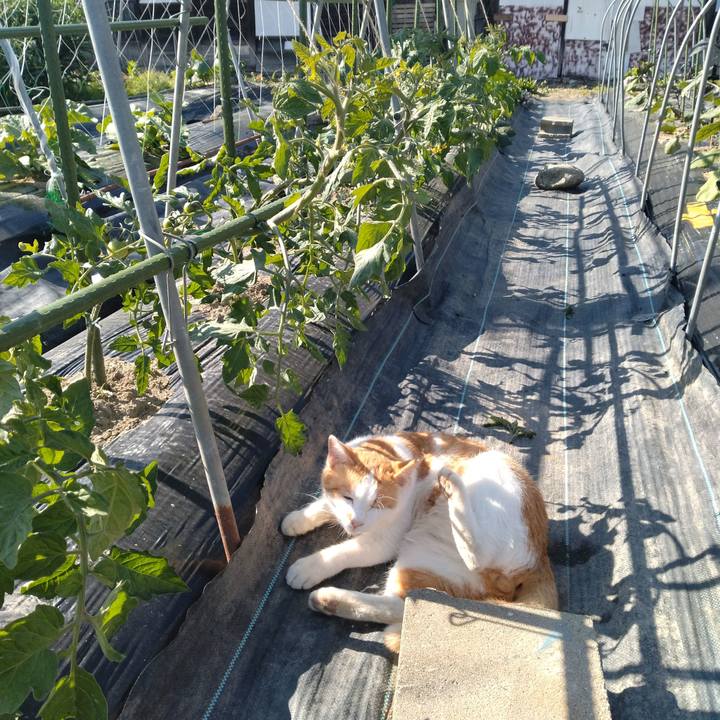 41bb3e7e 0d72 43ab b3ca 2383bec8f854 1749111441751