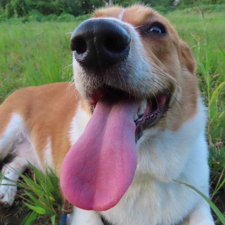 41bb6894 bc65 48a4 bda3 4c121cc5cc4a 1631319428502