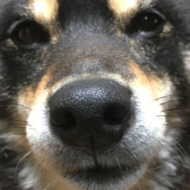 41bb6d8e 425e 4f75 8155 e93f7e768e0a 1523700245307