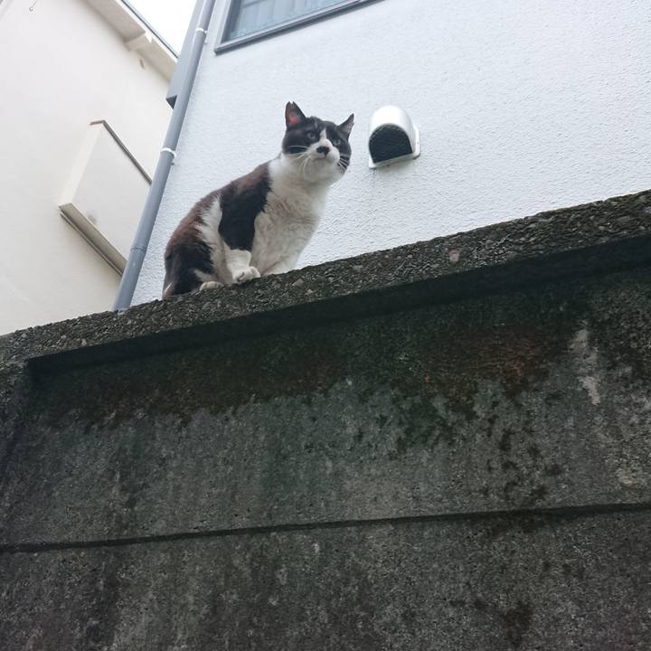 41bbb0c2 b156 4bfc b45b 348eb2587cbd 1562759092544