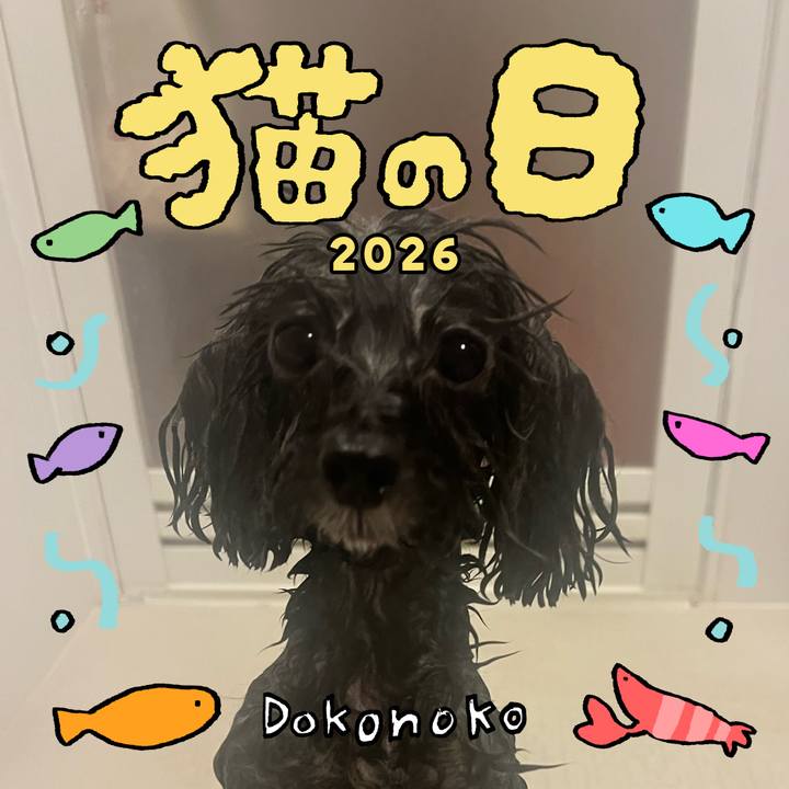 41bbfea5 d6dc 4bac b1d9 8ead92c2f3a8 1771691821353