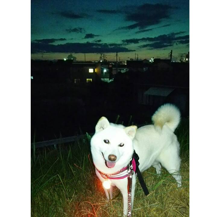 41bc2798 2bfd 4fed b809 d913e1aea1c7 1532345572361