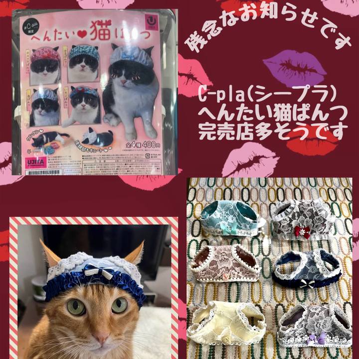 41bc435f 5850 43d7 a298 c868bd954f74 1730461436940