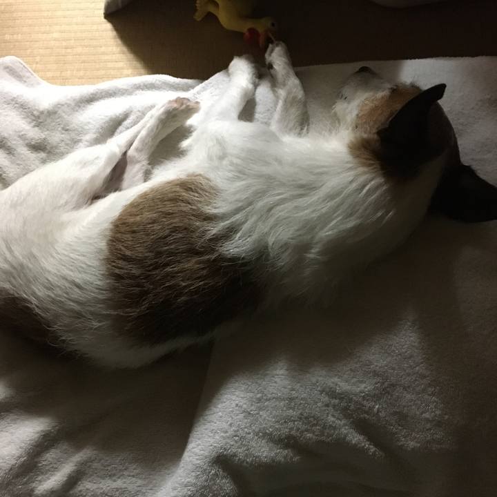 41bc63e7 5b11 4ebc b6f6 a09d8c15736d 1601421925681