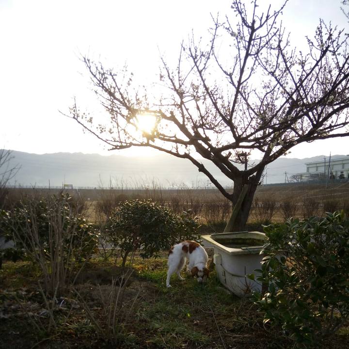 41bcc4db 1e69 4845 a478 01fbebefb8c4 1519807780207